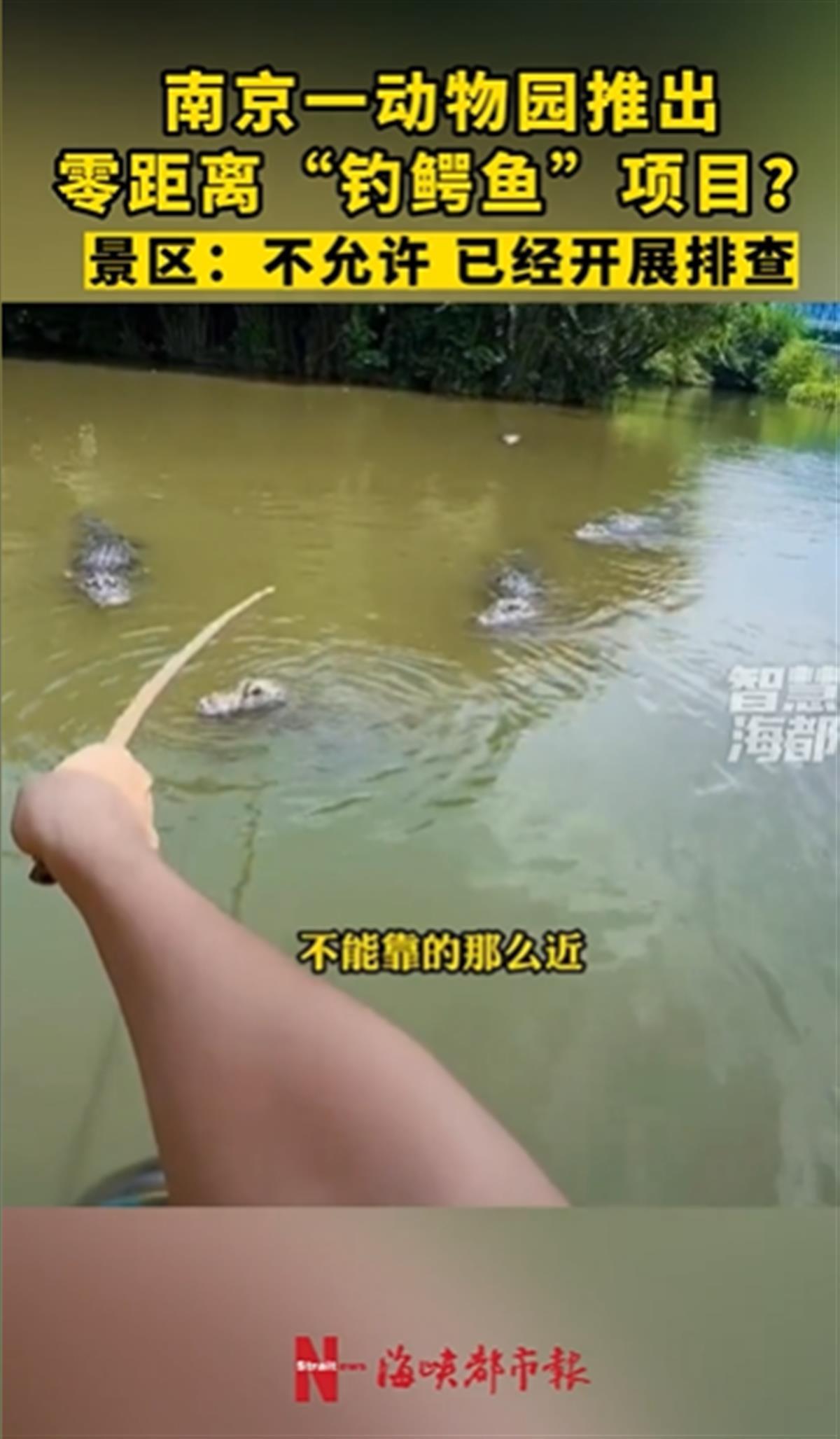 A动物园推出“钓鳄鱼”项目1.png