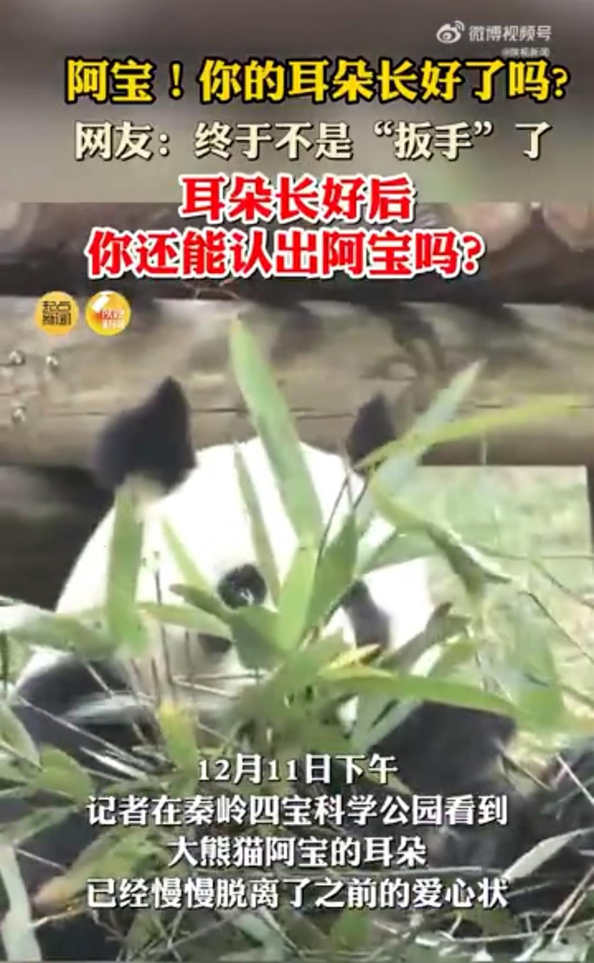 Screenshot_20231213_094529_com.tencent.mm_edit_13.jpg