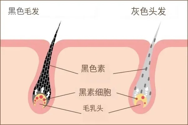 image.png?x-oss-process=style/w10